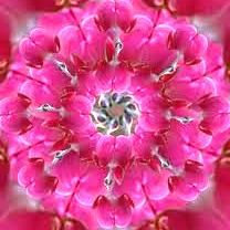 lelekgyogyito_mandala.jpg